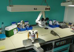 Dentallabor - Winterthur und Uster - Zahnprothetik Marchetti