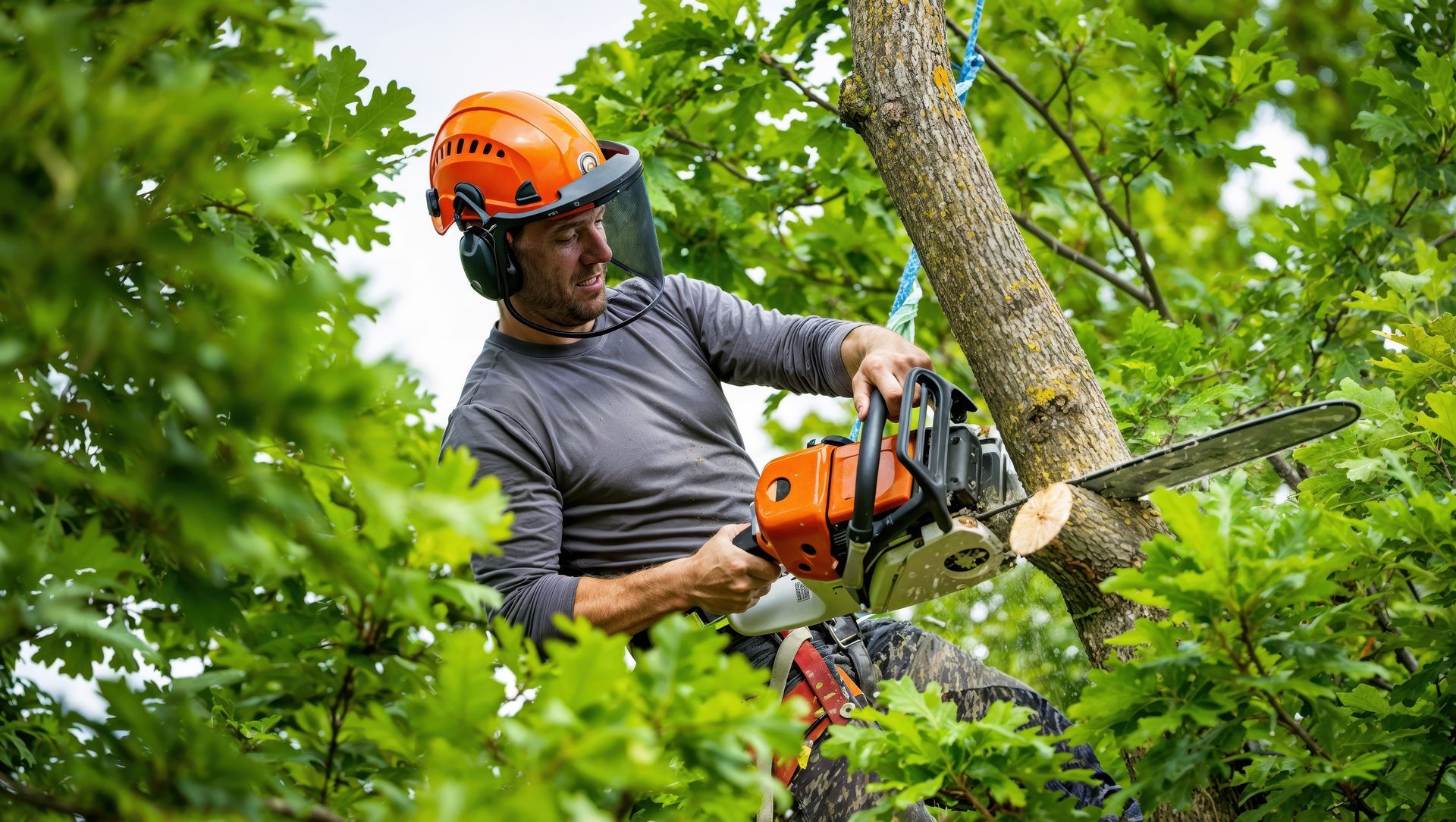 Professionnel élaguant des branches.