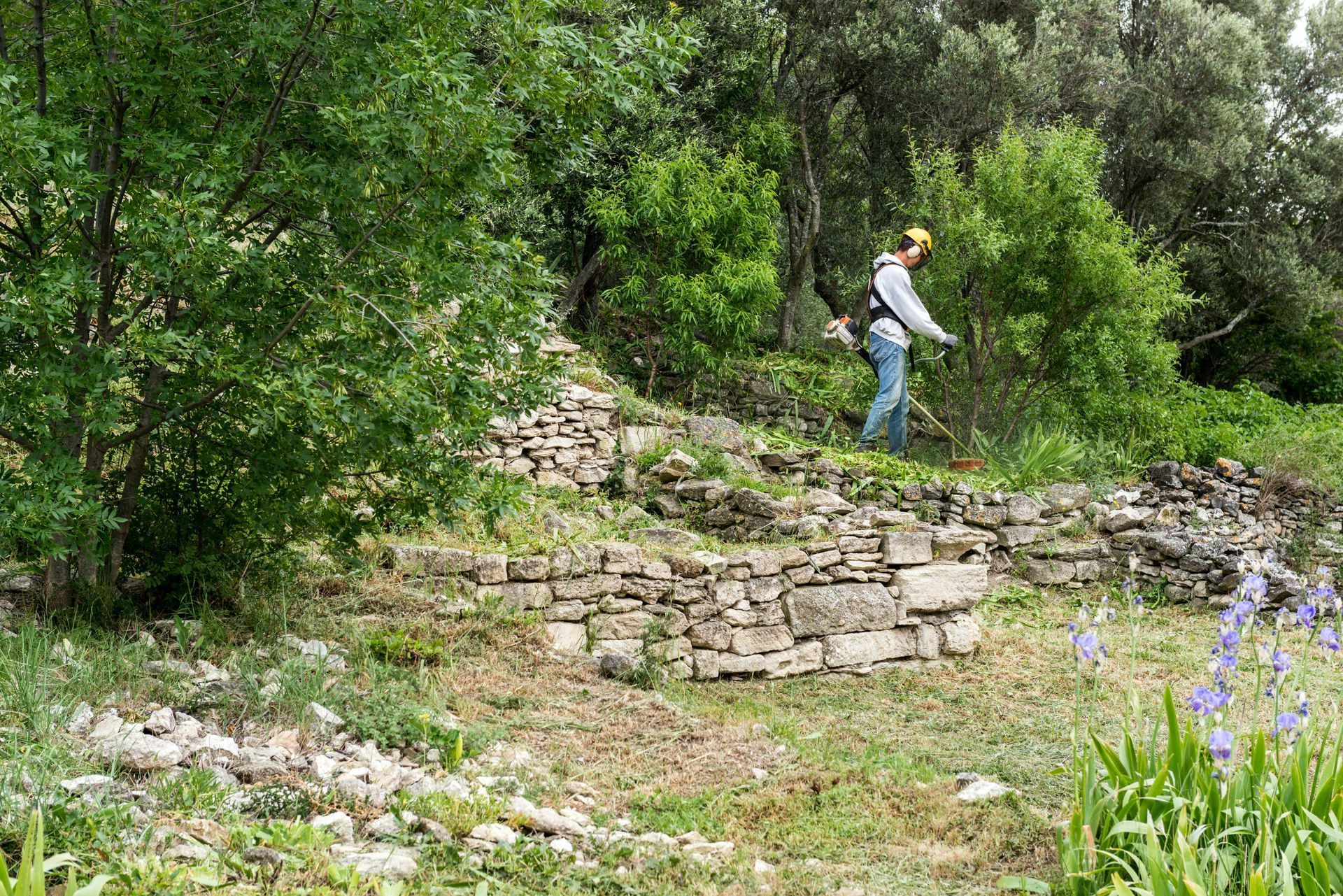 Débroussaillage réalisé par un professionnel.