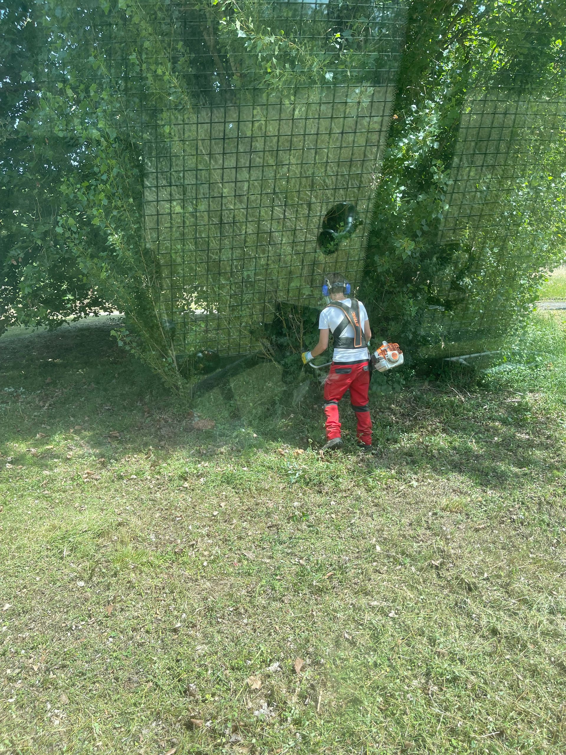 Débroussaillage professionnel.