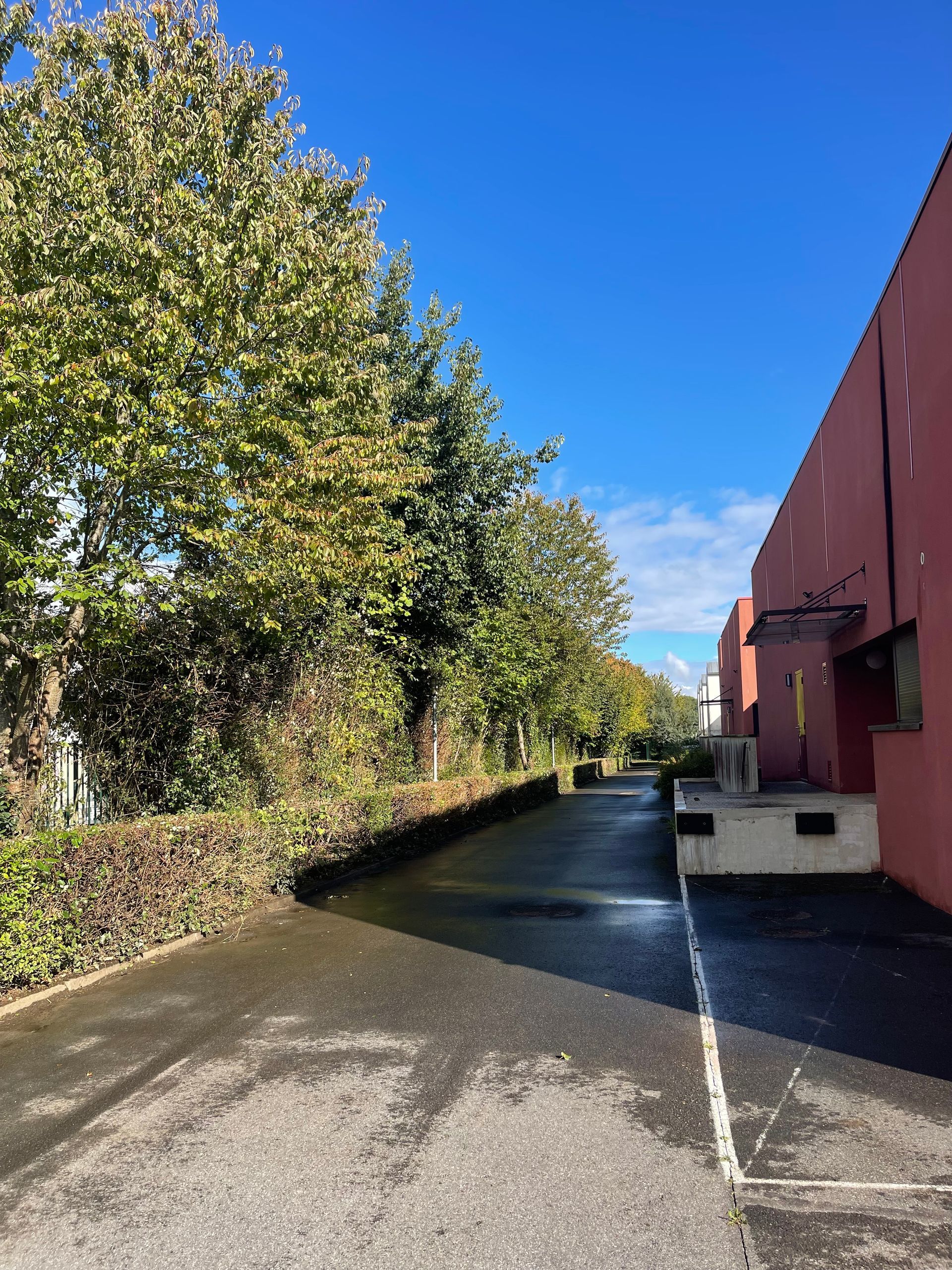 Haies taillées pour une entreprise.