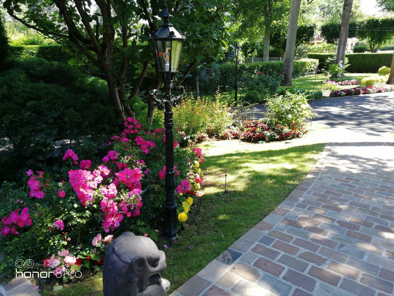 Parterres de fleurs colorés roses et jaunes.