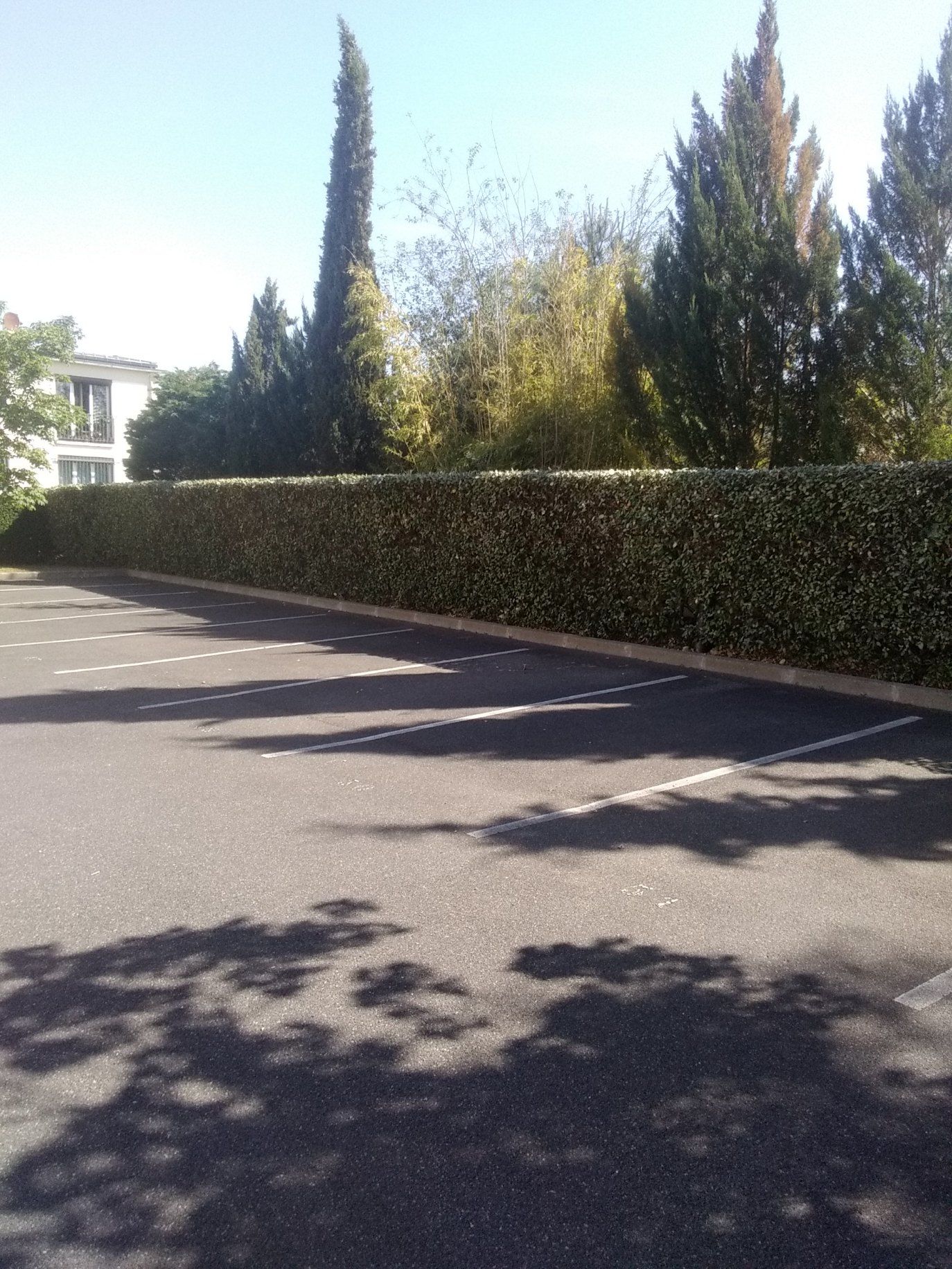 Haies taillées par les professionnels de l'entreprise.