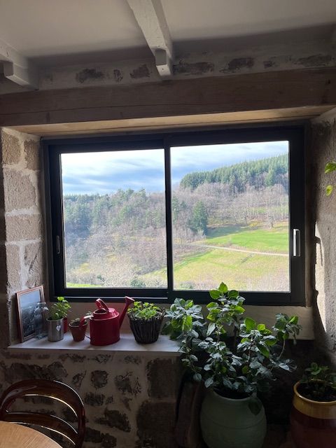 Une fenêtre donnant sur un paysage champêtre verdoyant avec des plantes en pot et un petit arrosoir rouge posé sur le rebord en pierre.
