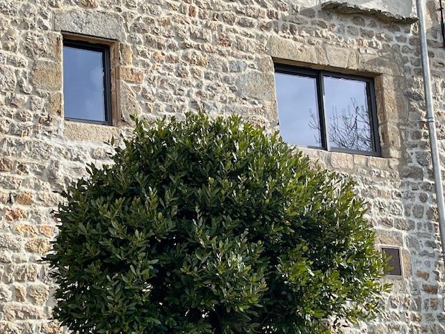 Deux fenêtres rectangulaires encastrées dans un mur de pierre rustique, derrière un grand arbuste vert aux formes arrondies.