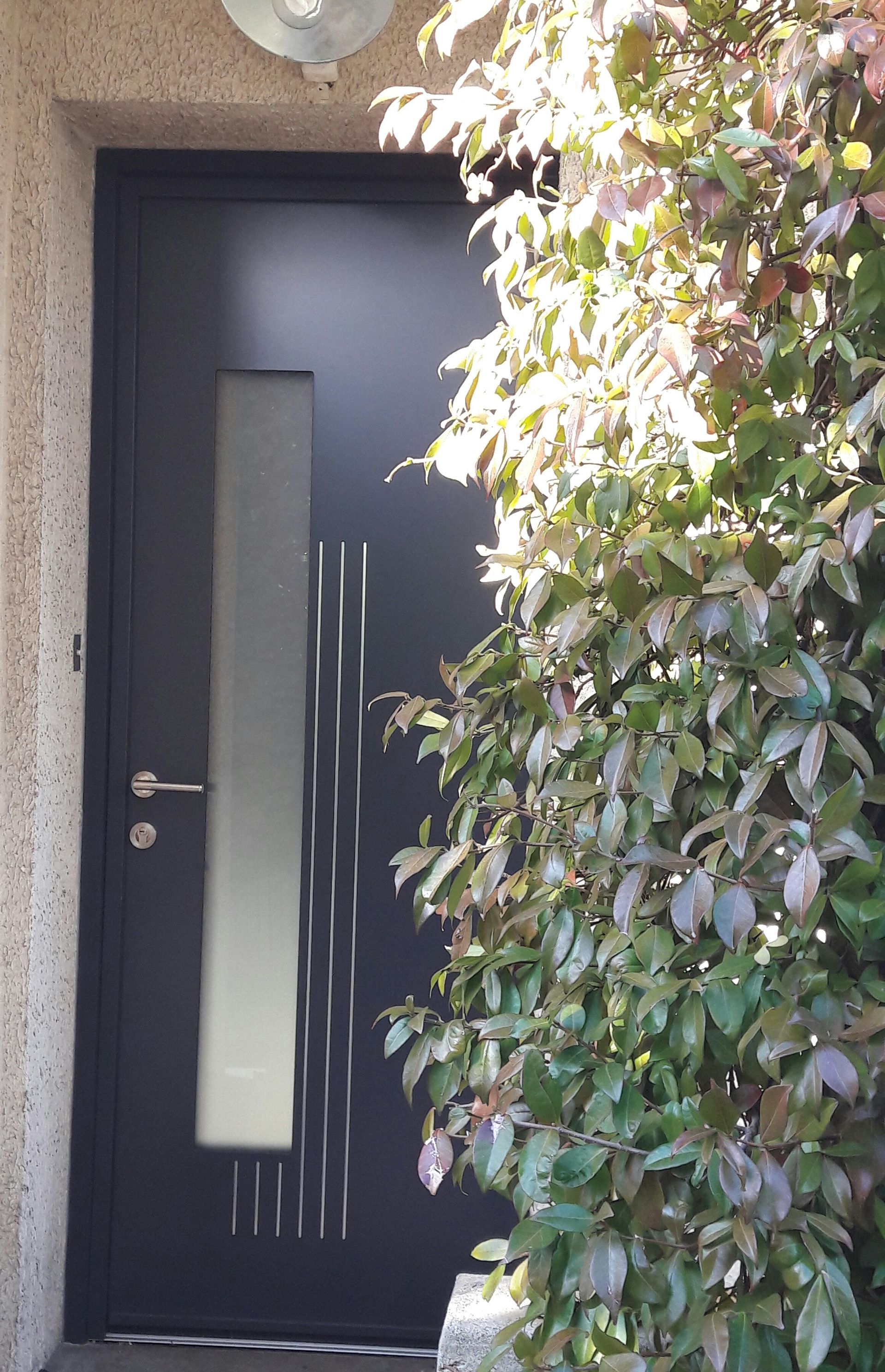 Une porte extérieure gris foncé avec un panneau vertical en verre dépoli et des rayures décoratives argentées, à côté d'un buisson vert feuillu.