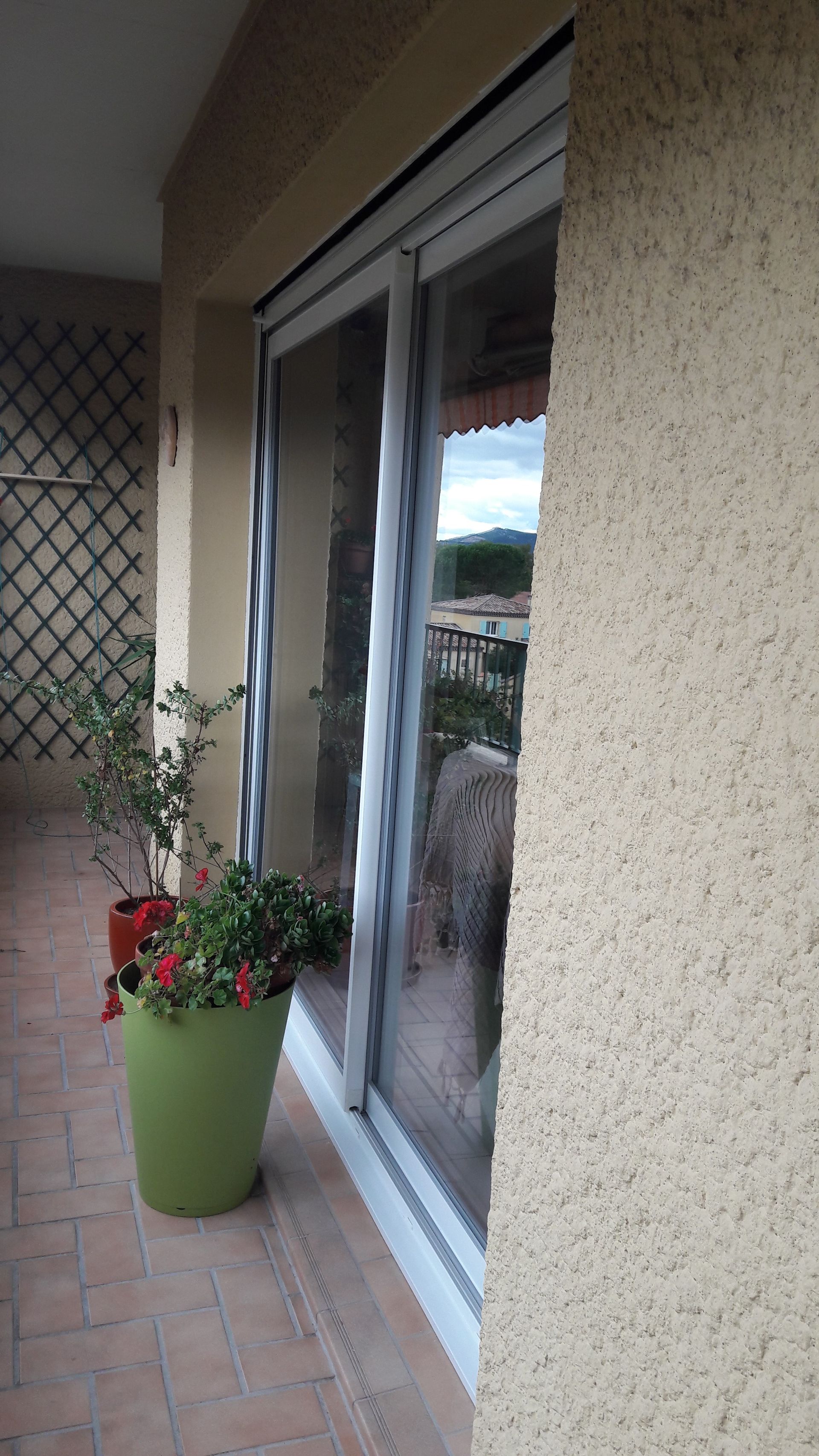 Une plante verte en pot à fleurs rouges est posée sur une terrasse carrelée, à côté d'une porte coulissante en verre, sur un bâtiment aux murs en stuc.