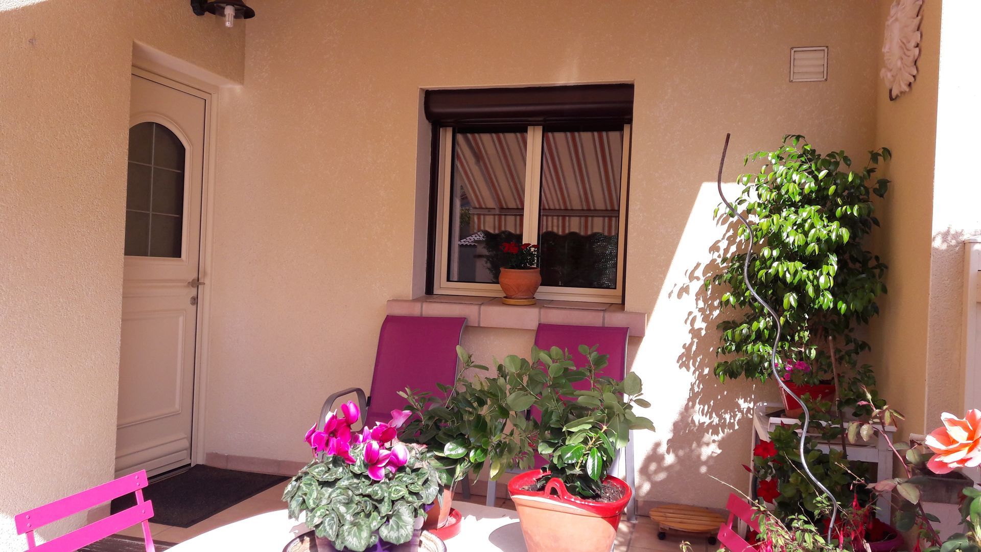 Un petit patio ensoleillé avec deux chaises magenta, des fleurs roses en pot, une plante verte et une porte blanche fermée.