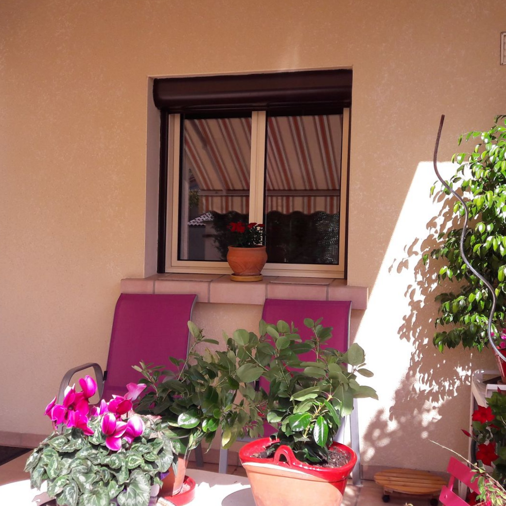 Deux chaises de patio violettes sont placées devant une fenêtre à store rayé, entourées de plantes en pot et d'un petit arbre.