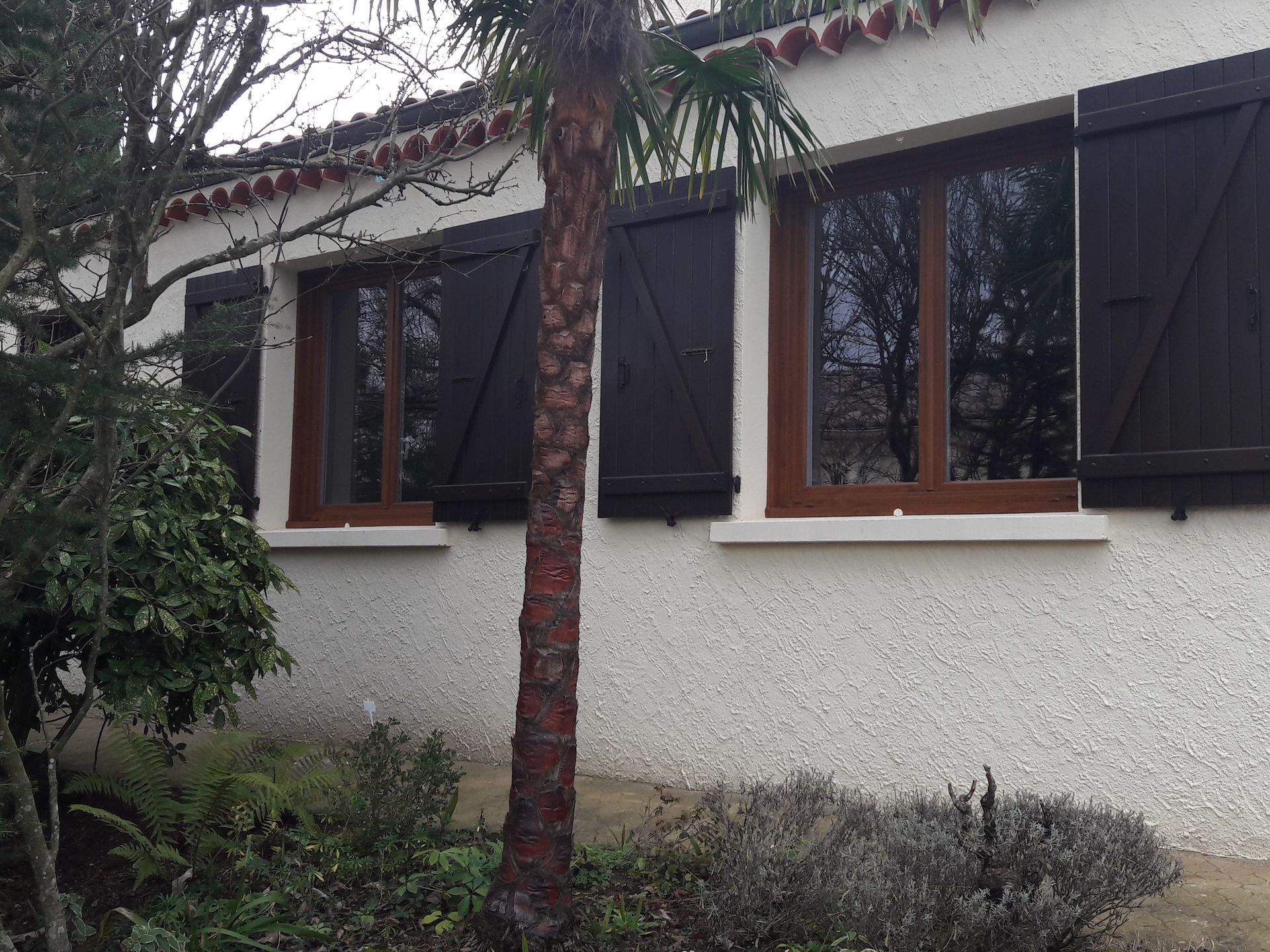 Une maison blanche avec des volets et des fenêtres marron, et un palmier dans le jardin de devant.