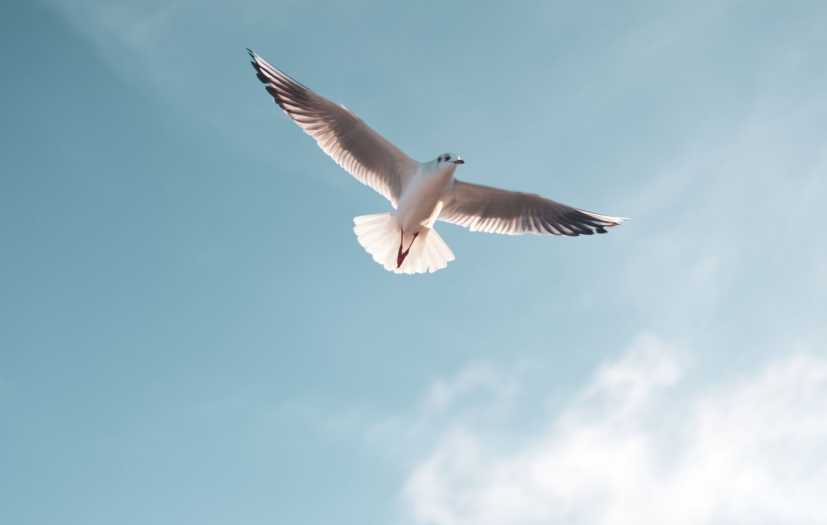 Steine ​​im Wasser erzeugen konzentrische Wellen, im Hintergrund ein Sonnenuntergangshimmel.
