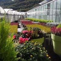 Production d'automne