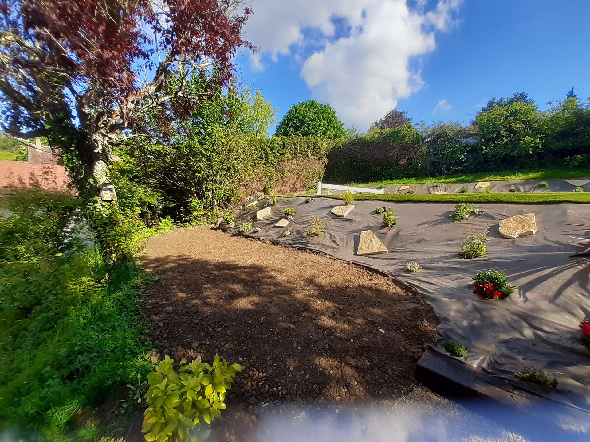 Un jardin aménagé et un ciel bleu