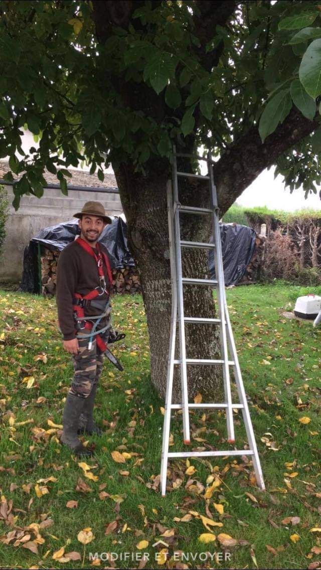 Un paysagiste souriant qui s'apprête à monter dans un arbre