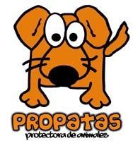 Es una caricatura de un perro con ojos grandes.