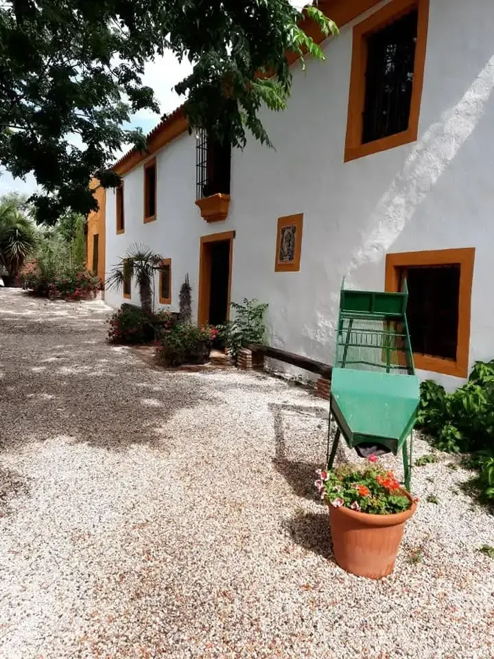 Edificio blanco con detalles naranjas, camino de grava, silla verde, flores en macetas y sombra de un árbol.