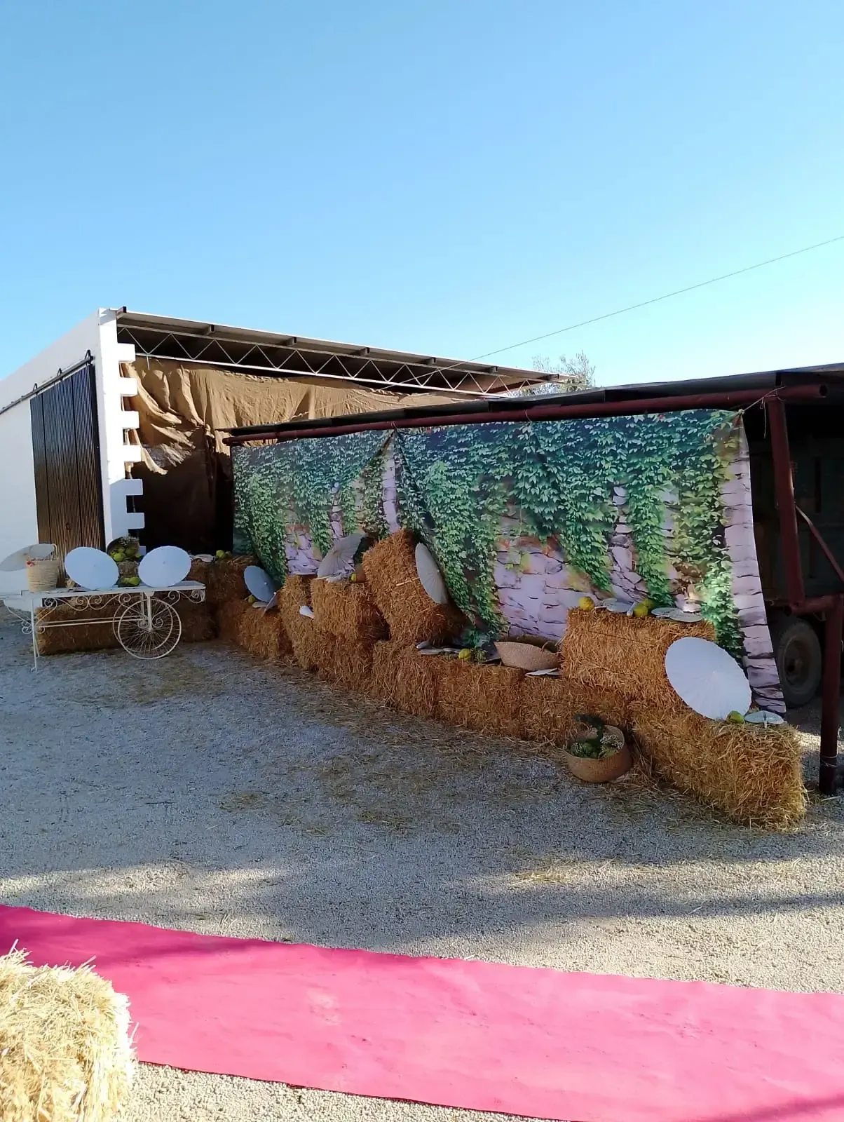 Una alfombra rosa conduce a un edificio rústico con fardos de heno, un fondo y decoraciones bajo un cielo azul.