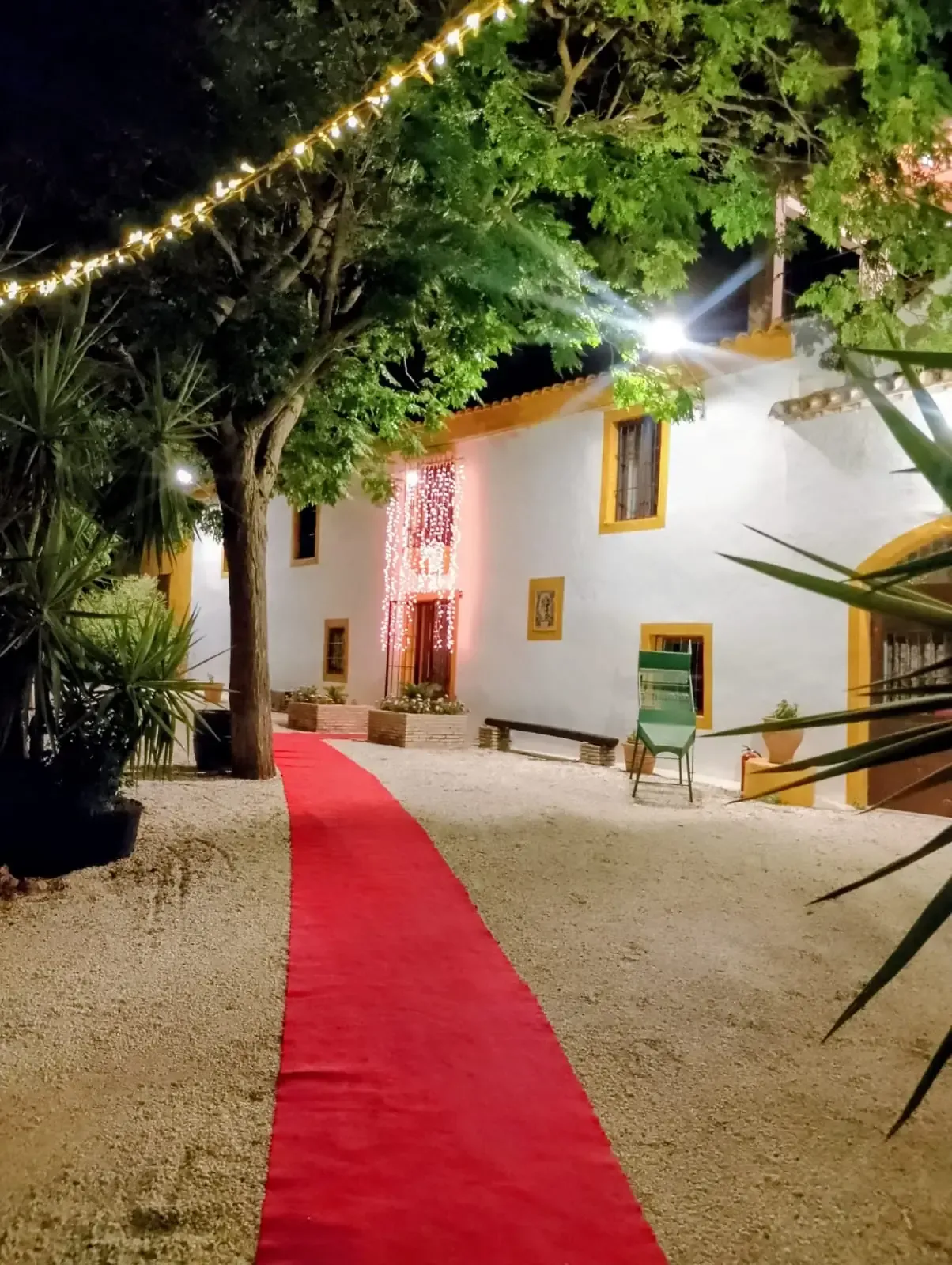 Alfombra roja que conduce a un edificio blanco con detalles amarillos, iluminado por luces de cadena.