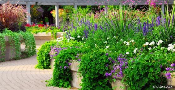 Paysagiste Toulouse Entretien Jardin Création De Jardin 31 Zd Vxkhhlx4thm