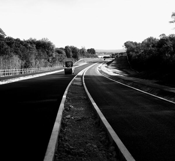 Route en travaux ; compactage de l’asphalte fraîchement posé au rouleau compresseur. Des arbres et des glissières de sécurité bordent la route.