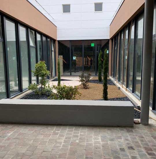 Cour intérieure avec fenêtres, plantes, allée en pierre et longue jardinière en béton.