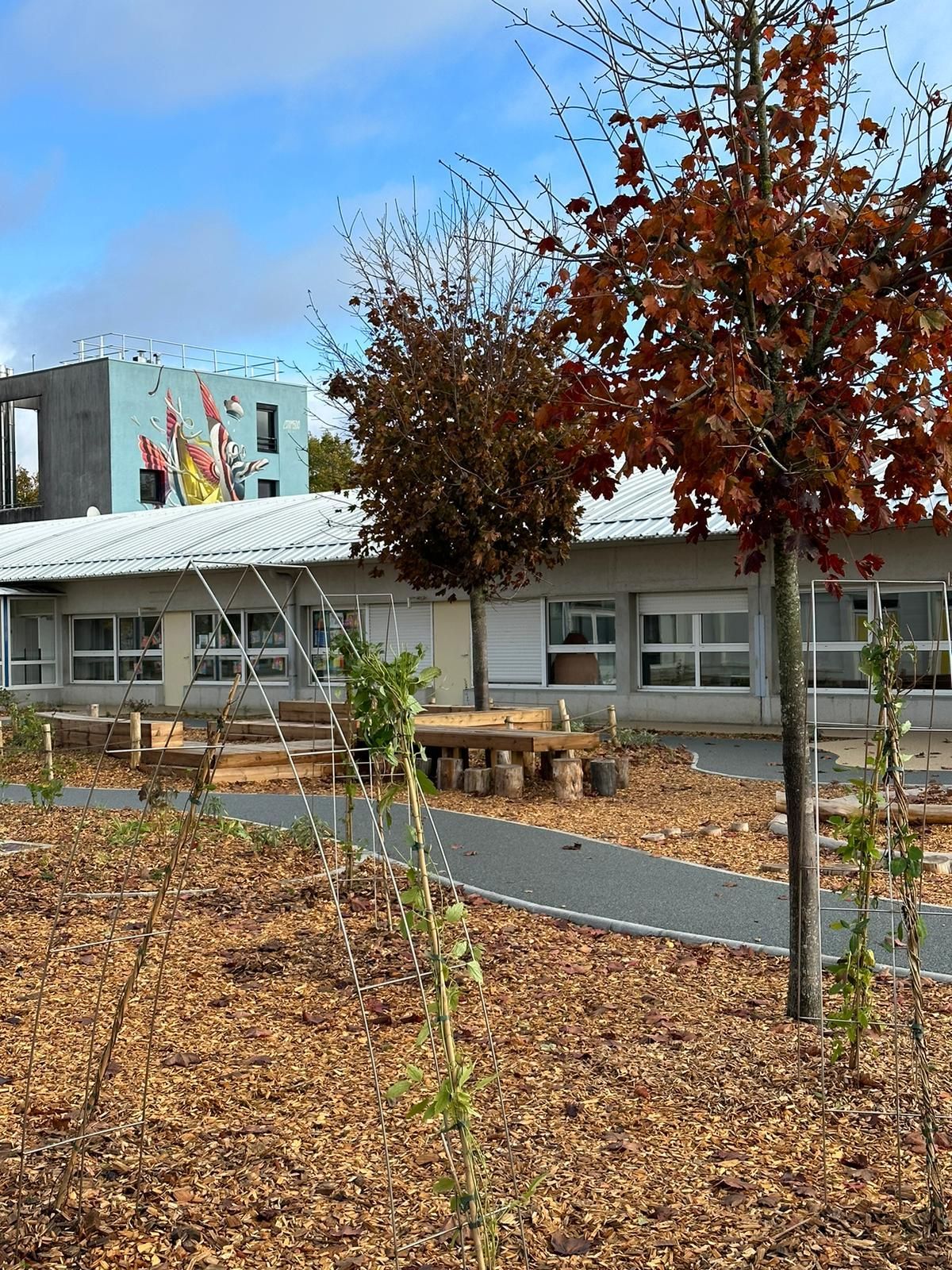 Bâtiment scolaire avec fenêtres, entouré d'un chemin de copeaux de bois et d'arbres aux feuilles colorées sous un ciel nuageux.
