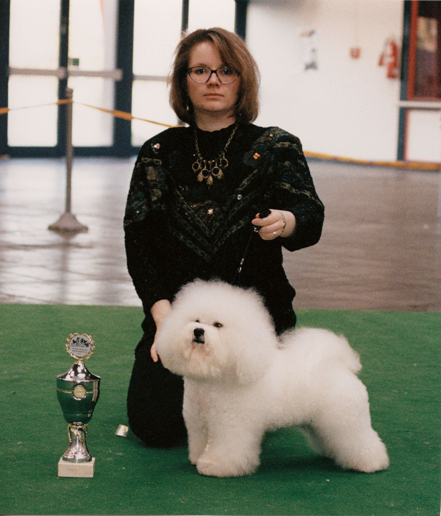 Snowflake Bichon Frisé