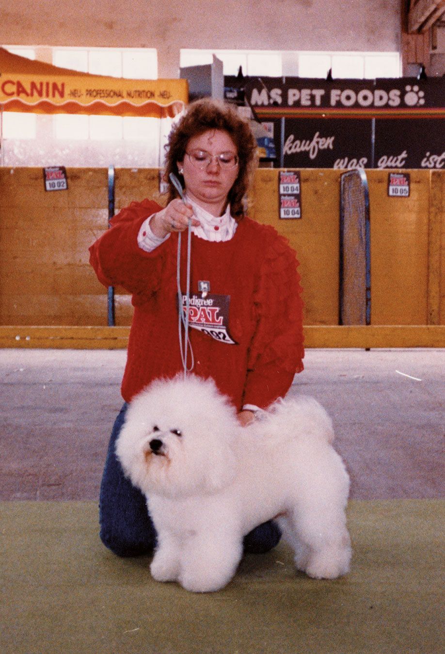 Ahnengalerie | Ein Rückblick auf SNOWFLAKE Bichon Frisés vor ca. 20 Jahren