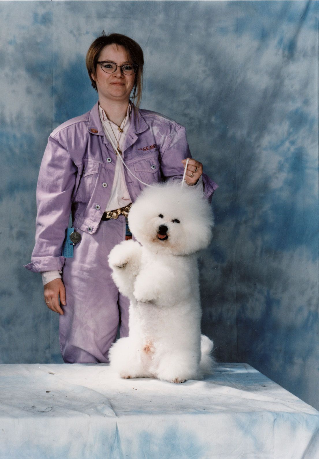 Snowflake Bichon Frisé