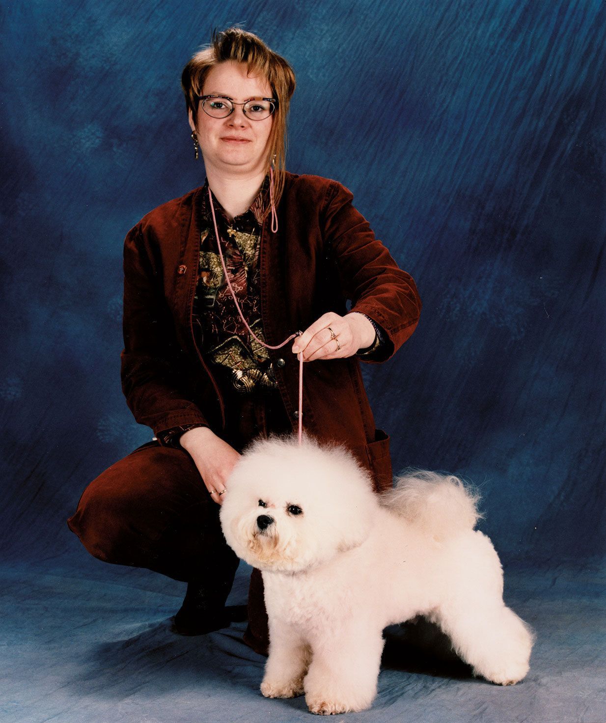 Snowflake Bichon Frisé