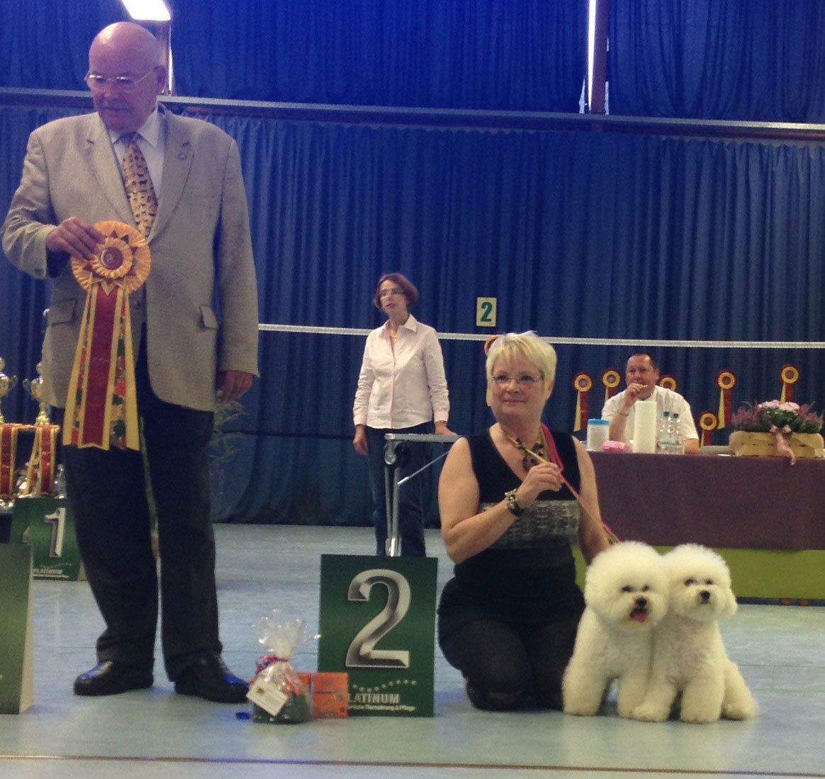 Snowflake Bichon Frisé