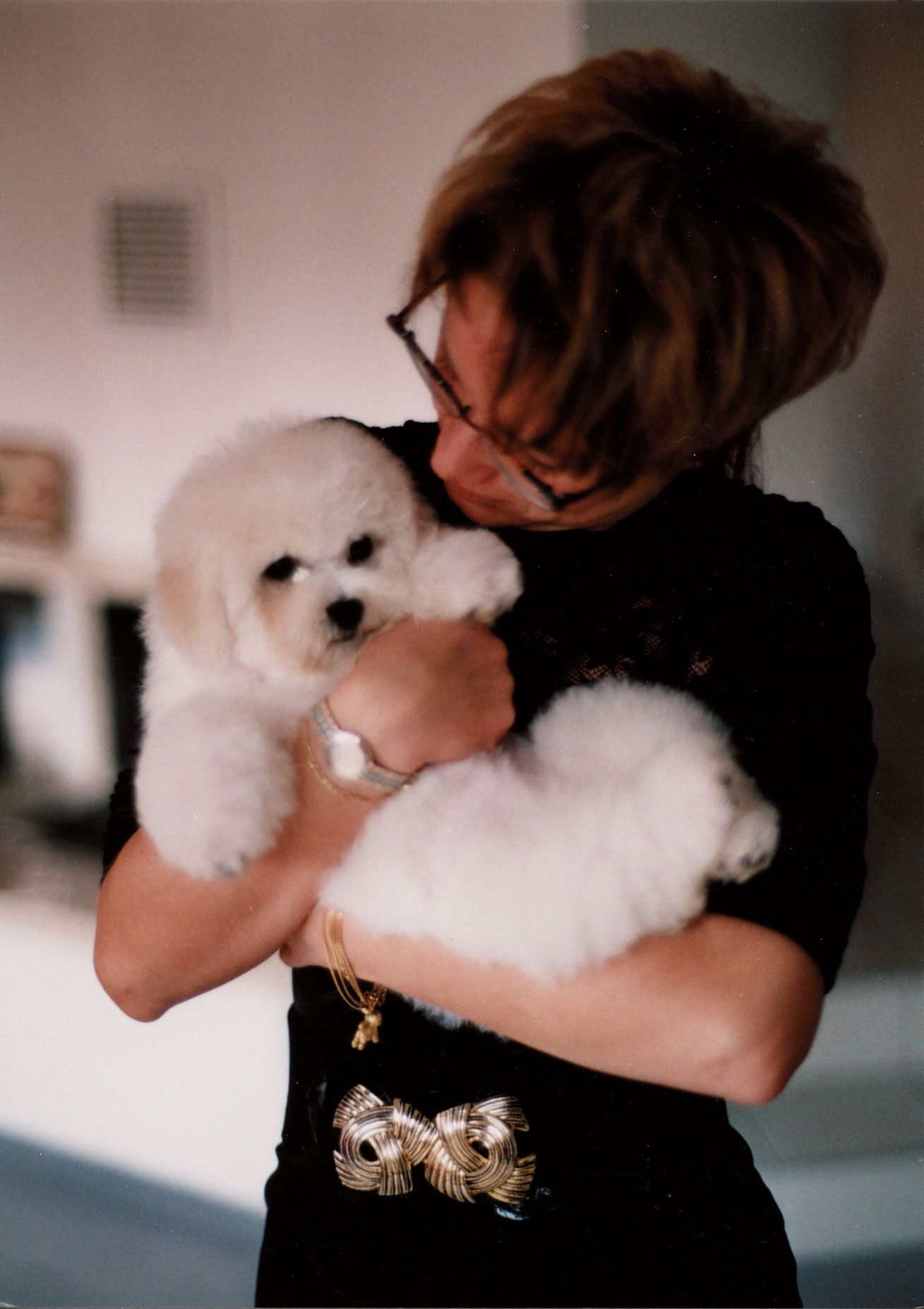 Snowflake Bichon Frisé