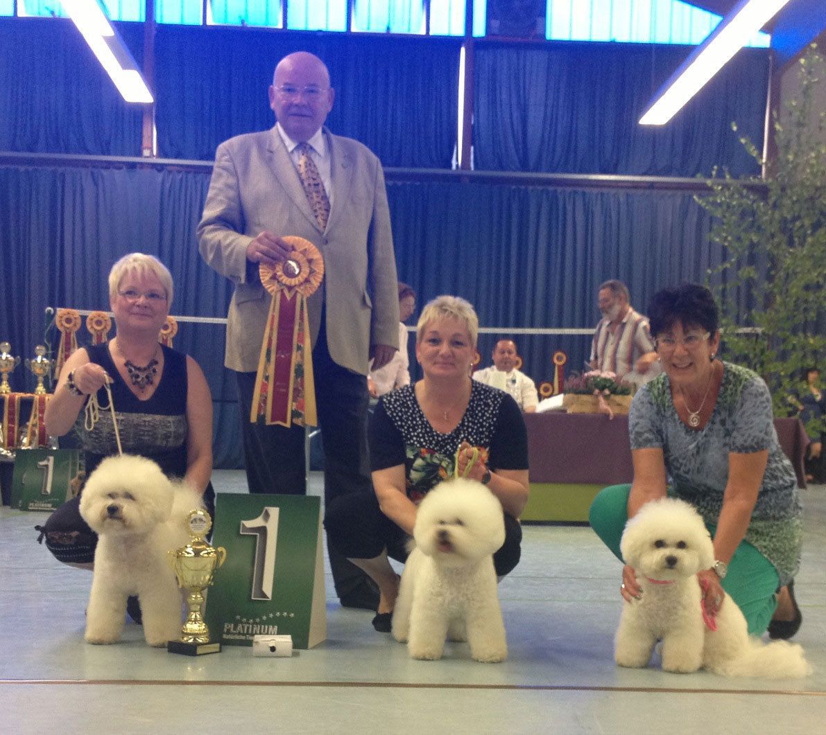 Snowflake Bichon Frisé