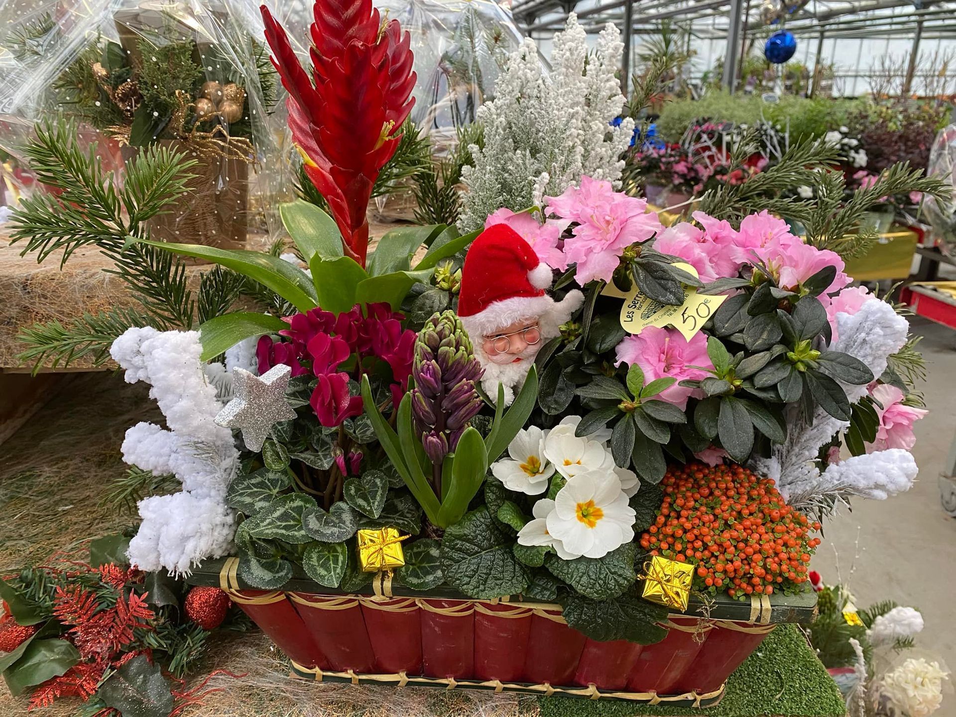 Compositions florales