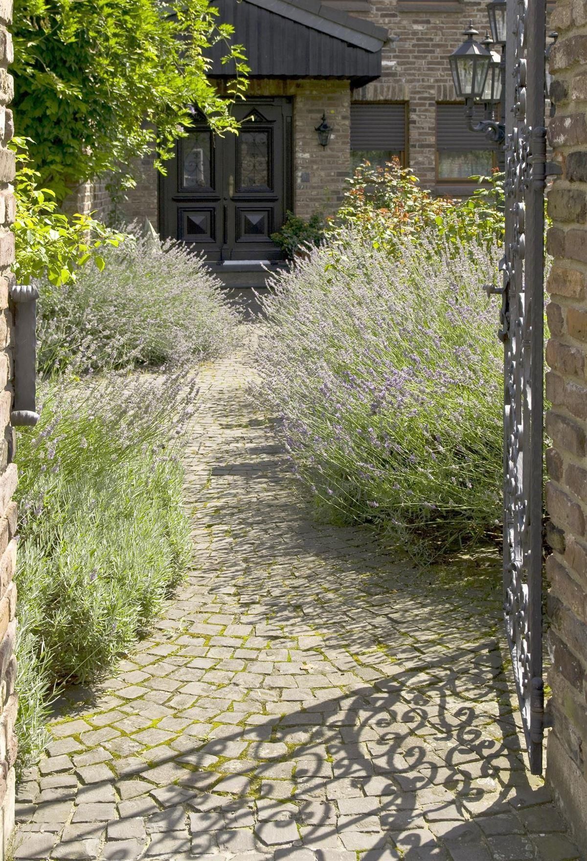 Ein Ziegelweg führt zu einem Haus mit offenem Tor.