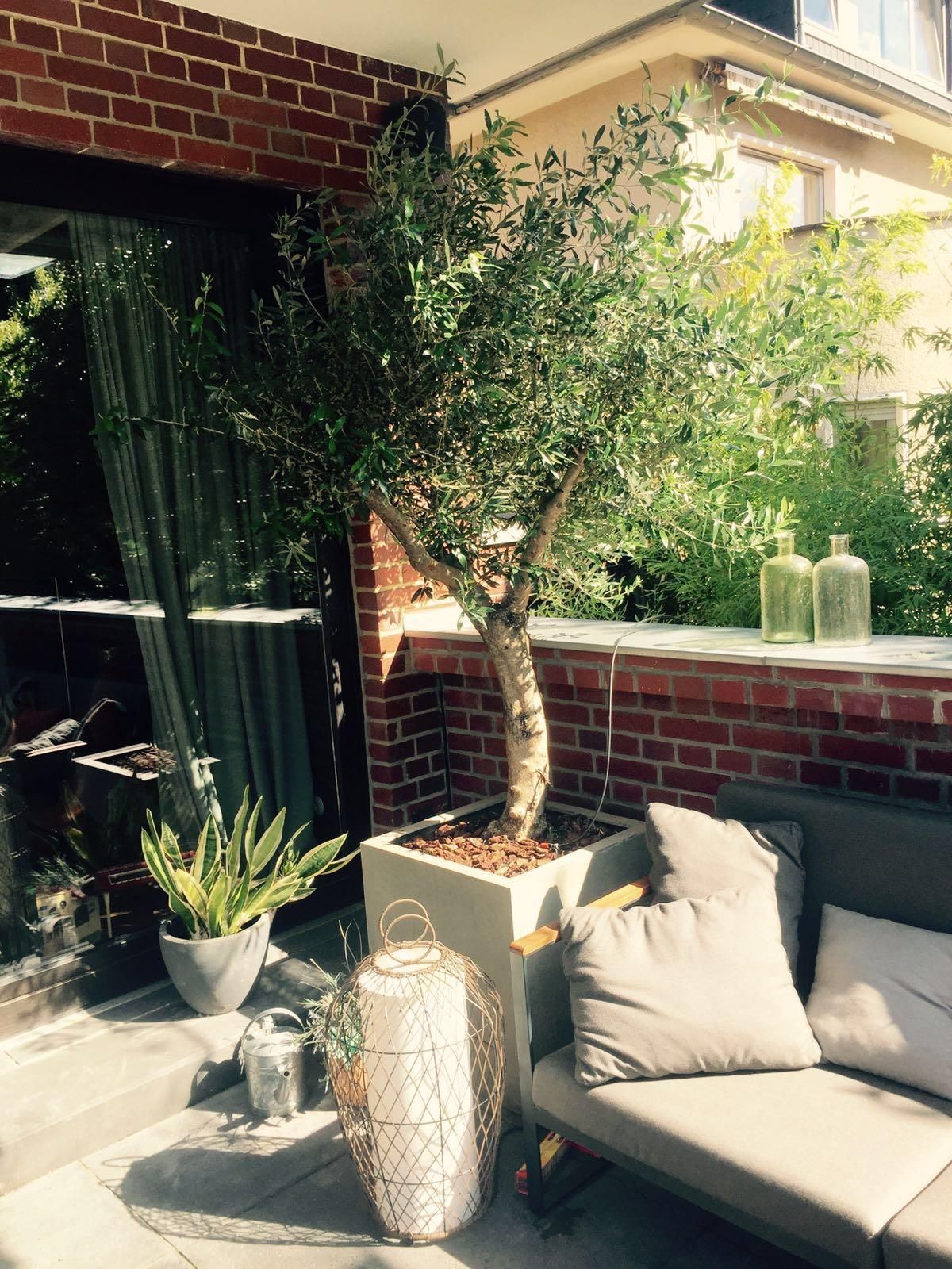 Eine Terrasse mit einem Sofa, Topfpflanzen und einem Baum.