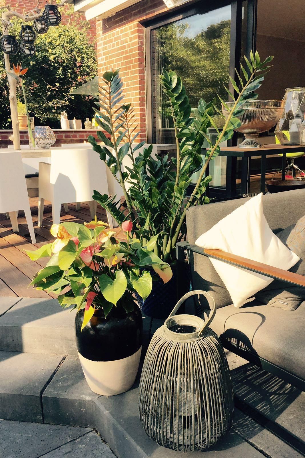 Eine Terrasse mit Topfpflanzen und einer Laterne darauf