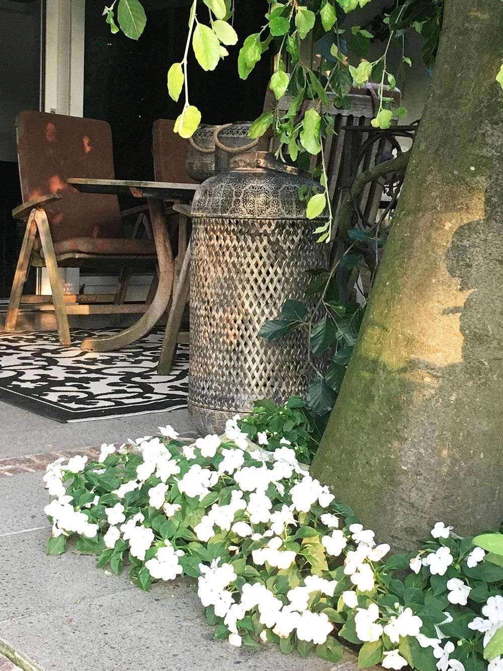 Eine Terrasse mit Tisch und Stühlen und weißen Blumen