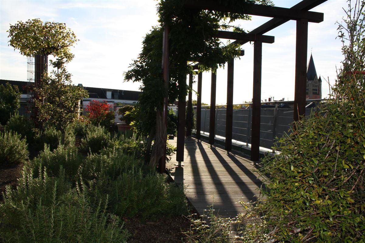 Ein Gehweg mit einer Pergola und einem Turm im Hintergrund