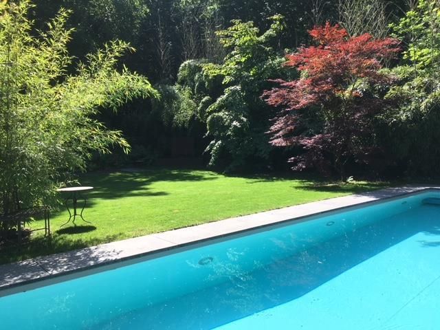 Ein großer Swimmingpool, umgeben von Bäumen und Gras