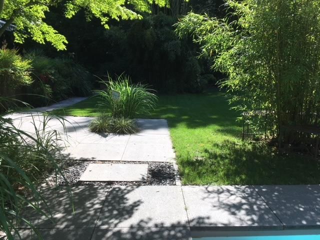 Ein üppiger grüner Garten mit einem Swimmingpool im Hintergrund