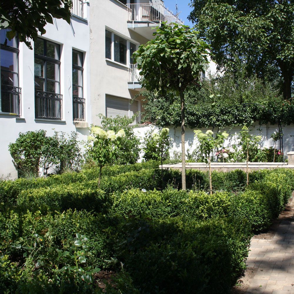 Ein üppiger grüner Garten mit einem weißen Gebäude im Hintergrund