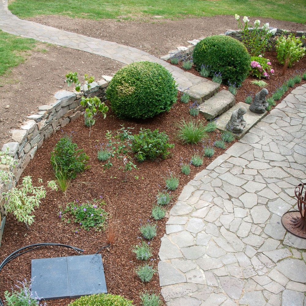 Ein Steinweg, der zu einem üppigen grünen Garten führt