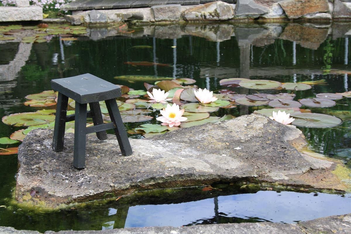 Ein Hocker steht auf einem Felsen vor einem Teich mit Seerosen.