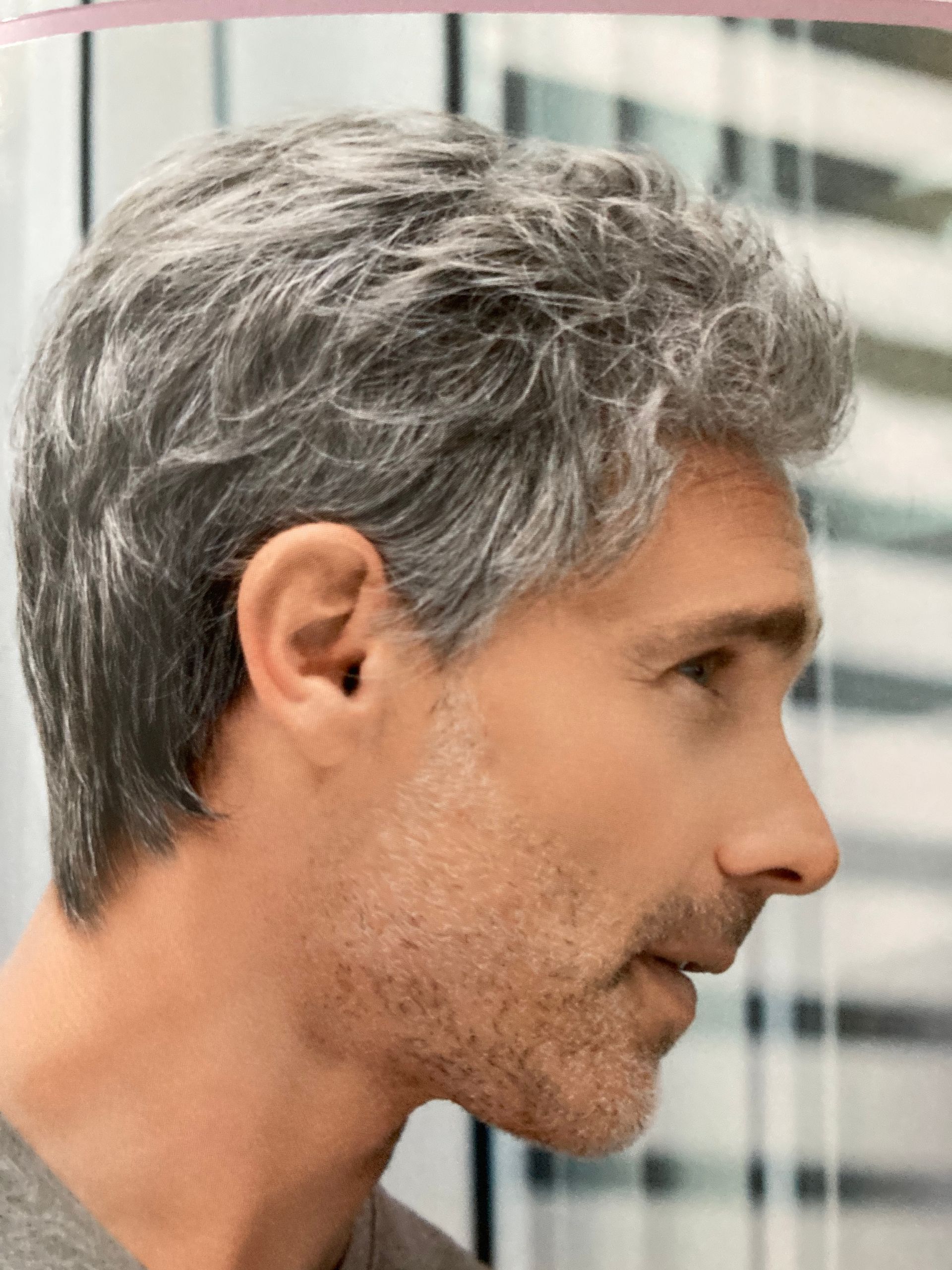 Perruque poivre et sel