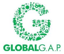 Ein grün-weißes Logo für globalg.ap