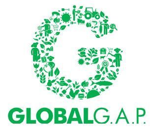 Ein grün-weißes Logo für globalg.ap