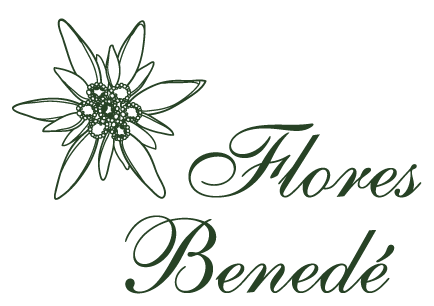 logotipo cabecera