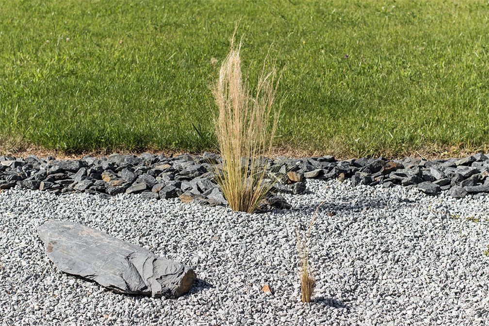 Une grande plante desséchée dans un lit de gravier avec une roche grise, et une bande de roche sombre et de pelouse en arrière-plan.