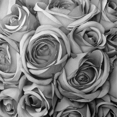 Gros plan en noir et blanc d'un bouquet de roses très serrées.